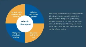 Giá đất khu đô thị: Các yếu tố ảnh hưởng, biến động và lời khuyên đầu tư