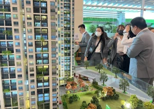 Thị trường bất động sản: Bí ẩn và cơ hội, làm sao để bạn luôn "đón sóng" thành công?