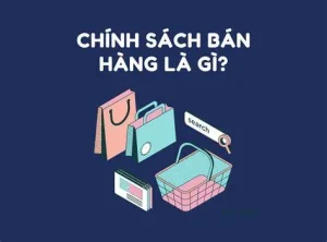 Chính sách bán hàng dự án: Giải mã các điều khoản và bí quyết tận dụng ưu đãi tối đa