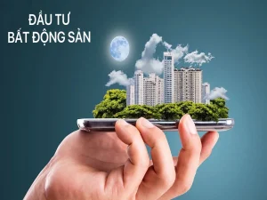 Cơ hội đầu tư bất động sản: Làm sao để "nhìn" ra tiềm năng và "hái quả ngọt" bền vững?