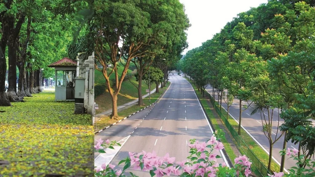 II. Các tiêu chí để nhận biết khu đô thị có nhiều cây xanh