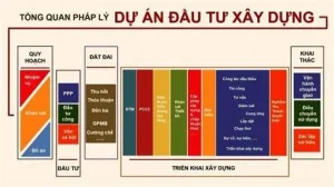 Thông tin dự án mới: Hướng dẫn "săn" tin hiệu quả và đánh giá tiềm năng đầu tư